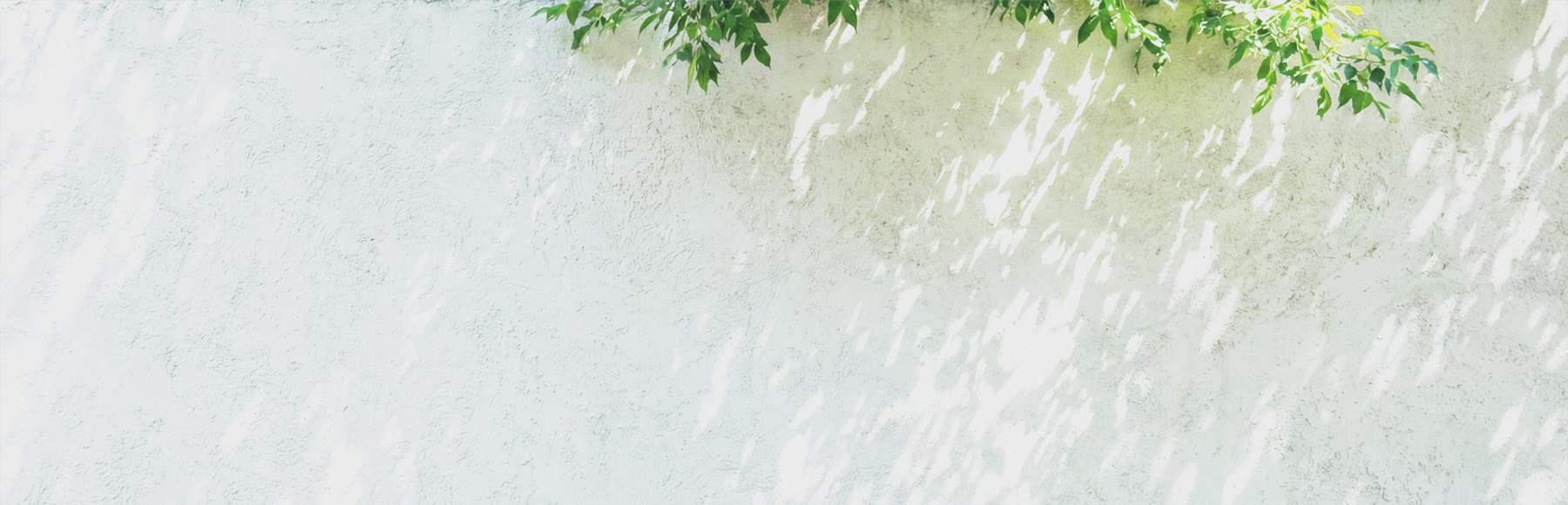 Salon 当サロンについて