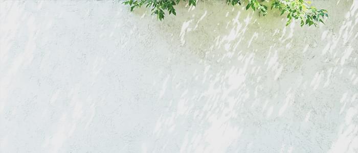 Salon 当サロンについて